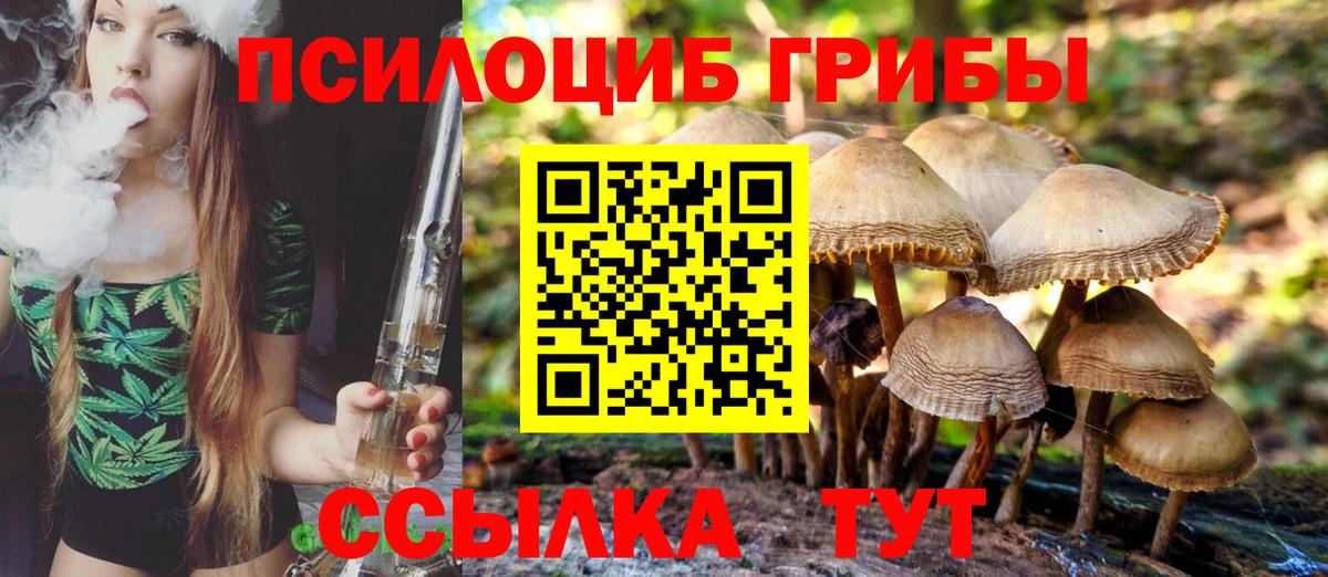 Галлюциногенные грибы Psilocybe Углич